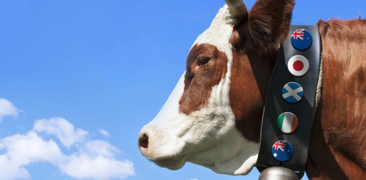 special-offer-beefpromotion-jpg-2