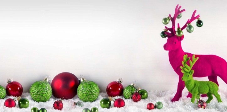 web-banner-2