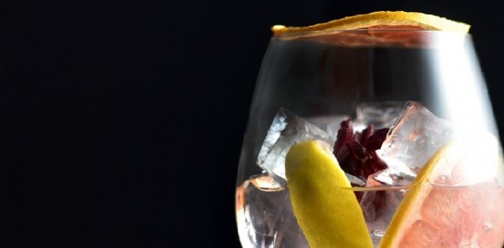 gin-01-2