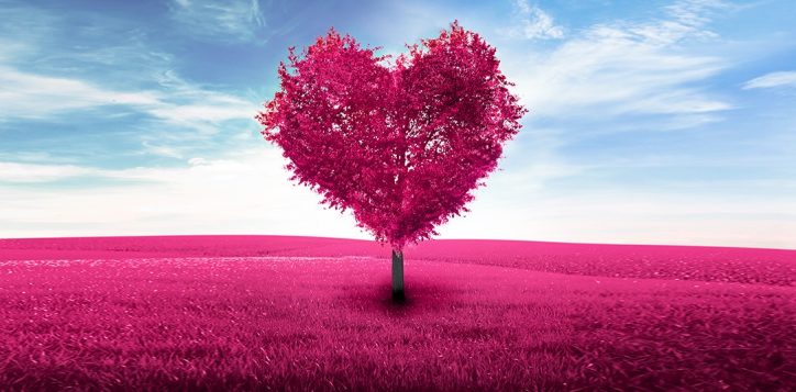 valentine_pr-2