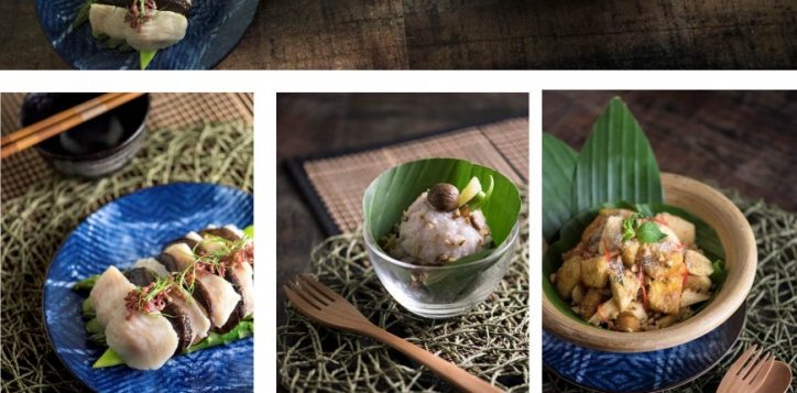 website-3-2