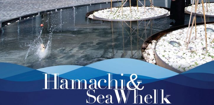 hamachi_fishing_poster_aw4_web-2