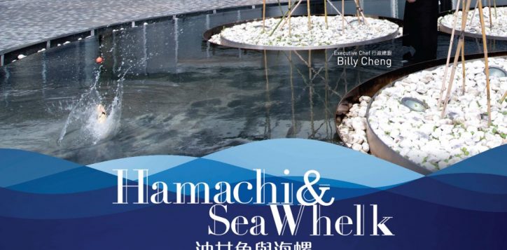 hamachi_fishing_poster_aw5_op_preview-01-2