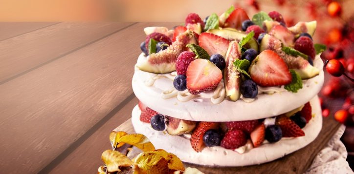 pavlova_ds_hr6_banner-2