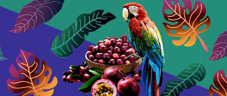 cranberries_banner