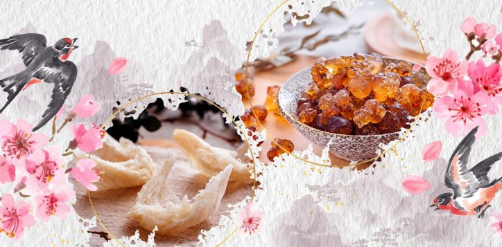 peach_gum_bird_banner