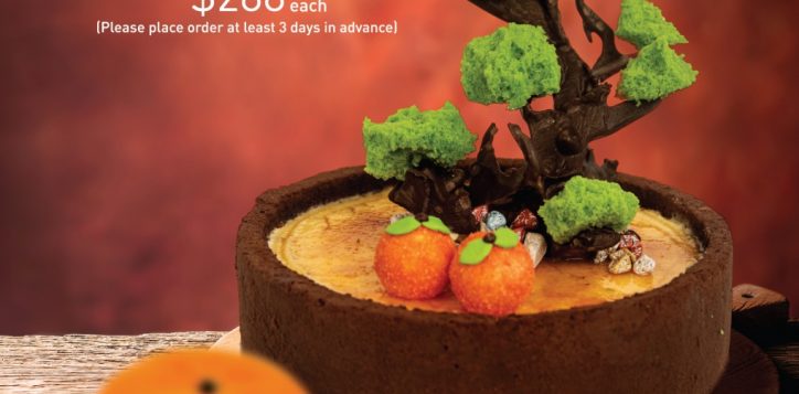 moccato_tangerine_cake_2024_op_preview-2